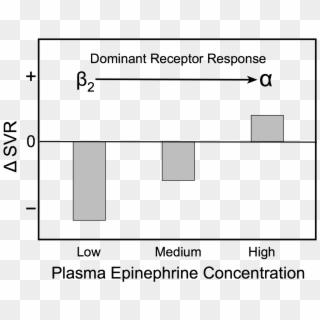 Bp018 Epi Dilation - Epinephrine Cardiovascular Effects, HD Png Download