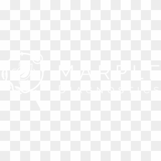 Marple Logo White - Johns Hopkins Logo White, HD Png Download
