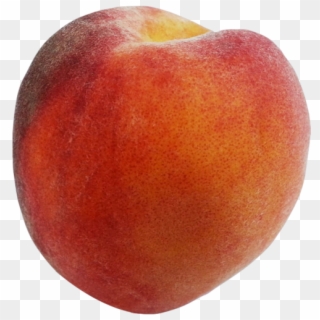 Georgia's Peach Crop Expected To Be Better Than Last - Nectarines, HD Png Download