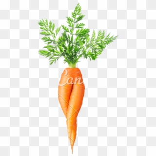 Carrots Png Two - Carrot With No Background, Transparent Png
