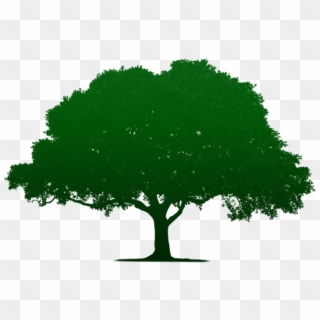 Tree Minimal Gradient Overlay - Tree Silhouette Png, Transparent Png
