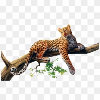 Jaguar Clipart Transparent Background - Sri Lankan Leopard Png, Png Download