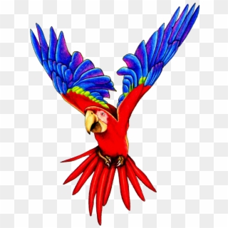 Macaw Parrot Clipart - Parrots, HD Png Download
