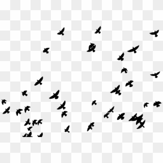 Flock, Birds, Animals, Pigeons, Flying, Silhouette, - Picsart Photo Editor Sticker, HD Png Download