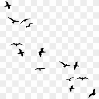 Flying Bird Silhouette Png - Birds Flying Away Drawing, Transparent Png