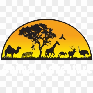 Animal Adventure Park - April The Giraffe Animal Adventure, HD Png Download