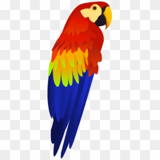 Parrot Png Free Download - Transparent Background Parrot Clipart, Png Download