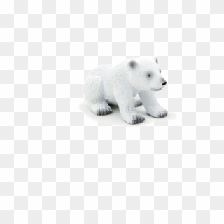 Polar Bear Cub Png, Transparent Png