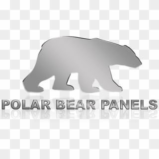General Specifications - Polar Bear, HD Png Download