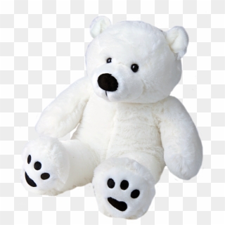 520 X 600 4 - Polar Teddy Bear, HD Png Download