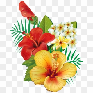 Hibiscus Clipart Real Flower - Hibiscus Cross Stitch, HD Png Download