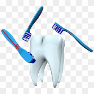 Single Teeth Png Background Image - صور عن نظافة الاسنان, Transparent Png