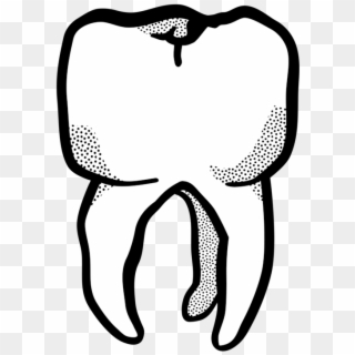 Line Art Human Tooth Drawing Computer Icons - Tooth Line Drawing, HD Png Download