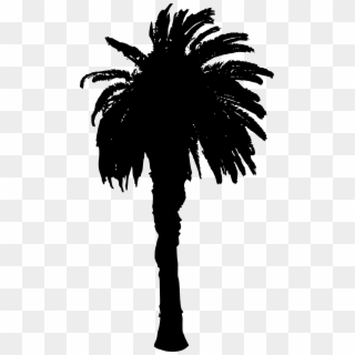 Free Download - Palm Tree Stamp Png, Transparent Png