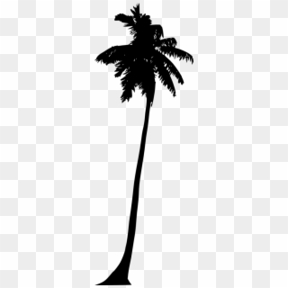 Free Png Palm Tree Silhouette Png - Silhouette, Transparent Png