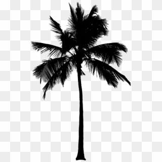 15 Black And White Palm Tree Png For On Mbtskoudsalg - 80s Palm Tree Png, Transparent Png