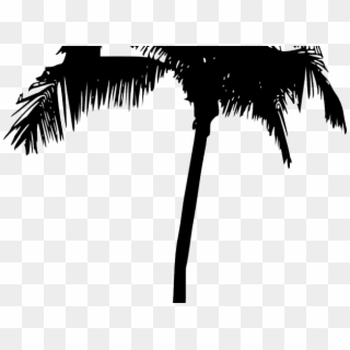 Palm Tree Silhouette Png, Transparent Png