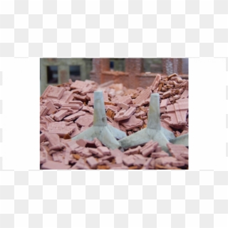 Fish, HD Png Download