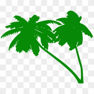 Palms Coconut Tree Coconut Palms - Green Palm Tree Vector, HD Png Download