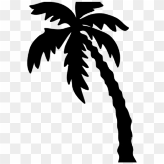 Palm Trees, HD Png Download