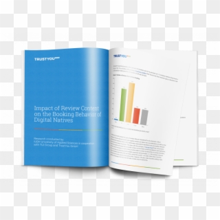 2019 White Paper Impact Review Content Digital Natives - Brochure, HD Png Download