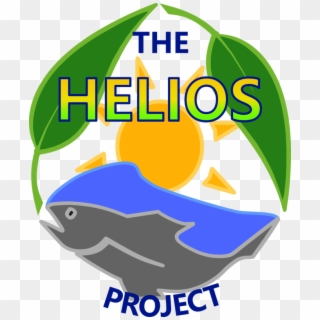 What Is The Helios Project - Helios Project, HD Png Download