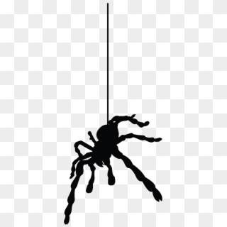 Imagen - Spider Hanging From Web, HD Png Download