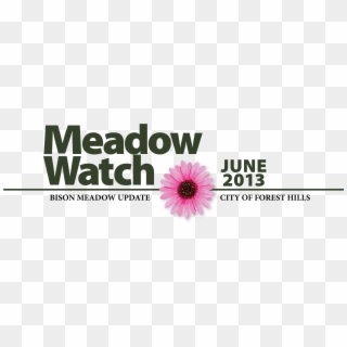 Meadow Watch Hedder - Leaf Logo Design, HD Png Download