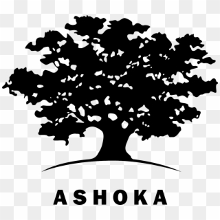 Leading One Entrepreneurial Coup After Another, Like - Ashoka Logo, HD Png Download