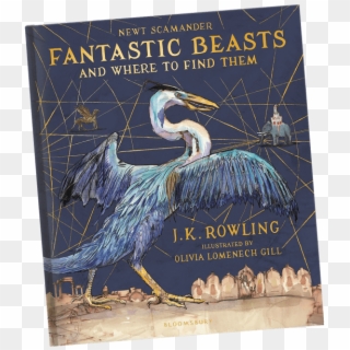 Fantastic Beasts And Where To Find Them Cover - Harry Potter And Goblet Of Fire Jim Kay, HD Png Download