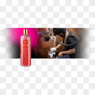 Perfectly Pink Shampoo To Clean Up Dirty Ponies - Shower Gel, HD Png Download