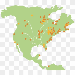 Simplified Migration View Map Of Reported Monarch Sightings - La Francophonie En Amerique, HD Png Download