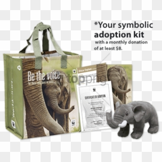 Free Png Wwf Elephant Adoption Certificate Png Image - Wwf Elephant Adoption Kit, Transparent Png