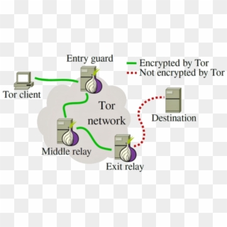 Tor-working1 - Does Tor Work, HD Png Download