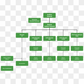 Organisational Structure - Office Of Auditor General Chart, HD Png Download
