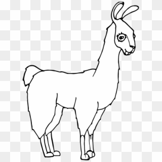 Encourage Children To Add Details Showing What This - Llama, HD Png Download