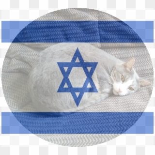 Looking Forward To Seeing You All At The Biggest, Bestest - Israel Flag, HD Png Download