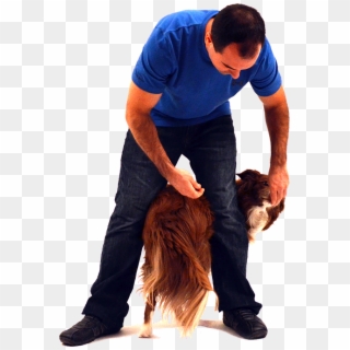 We've Helped Over 10,000 Dog Owners Train Their Dog - Sitting, HD Png Download