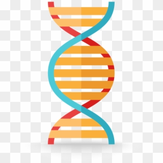 Genetic-counseling - Png วิทยาศาสตร์ ยีน, Transparent Png