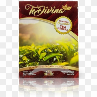 Tedivina® - Tea Divina, HD Png Download