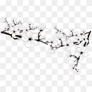 Menu - Black And White Blossom Png, Transparent Png