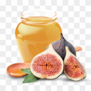 Fig And Honey - Fig And Honey Png, Transparent Png
