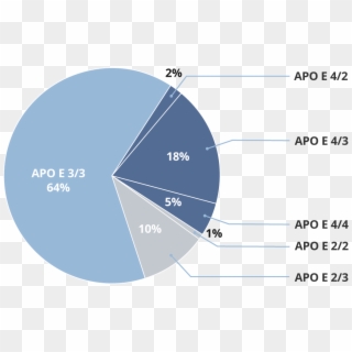 Pie Chart Showing Percentages Of Apo E Gene Types - Apo E, HD Png Download