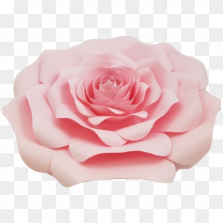 Pink Rose Png Transparent For Free Download - Pngfind