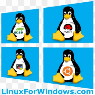 Linux For Windows - Linux, HD Png Download