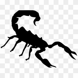 Scorpions Clipart, HD Png Download