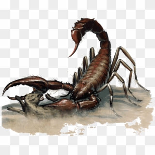 Dnd 5e Giant Scorpion , Png Download - Giant Scorpion Dnd 5e, Transparent Png