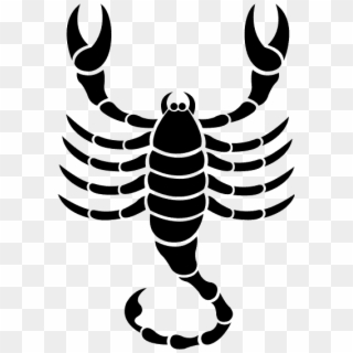 Scorpio Png - Clipart Of A Scorpion, Transparent Png
