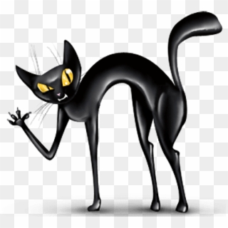 Free Png Download Transparent Haunted Black Cat Png - Crazy Cat Png, Png Download