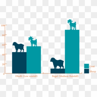 Small Ruminant Composition By Species - Silhouette, HD Png Download